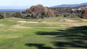 84196f26-994d-4190-8956-13432163687d